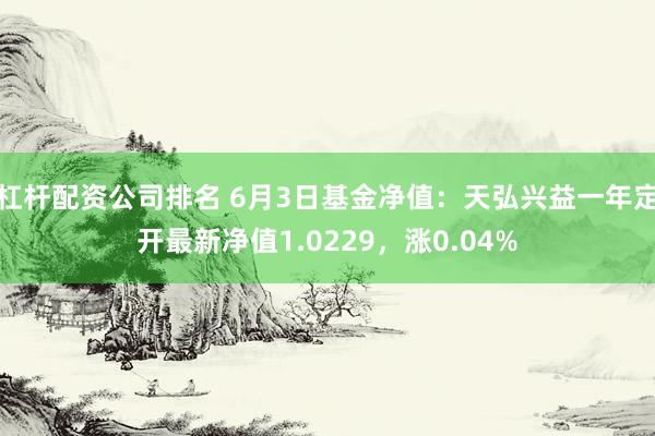 杠杆配资公司排名 6月3日基金净值：天弘兴益一年定开最新净值1.0229，涨0.04%