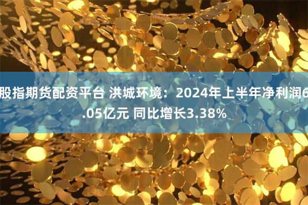 股指期货配资平台 洪城环境：2024年上半年净利润6.05亿元 同比增长3.38%